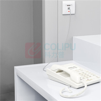 HAILE 电话线 HT-100-5M 2芯 5米 (灰色)