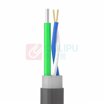 普顺启鸣 国际软护套电话线 QM01L 电源线 (黑色) 2x6DY 1米/根