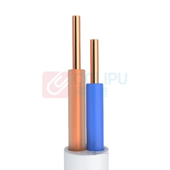 山泽 SAMZHE 2芯多股6P2C纯铜电话线 DH-2002L 成品电话线带水晶头 2米
