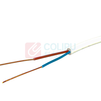 理联 两芯电话线无氧铜线芯0.49mm 100米/卷 LN-DHX02/03  (计价单位：卷) 白色