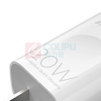 品胜 PISEN 充电器 TS-C135 PD20W Type-C快充电头 (白色)