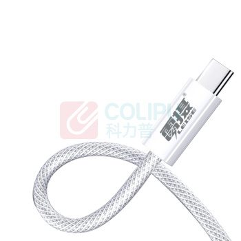 雷摄 LEISE 数据线 Type-C-Type-C LS-SJX3 1米 (白色)