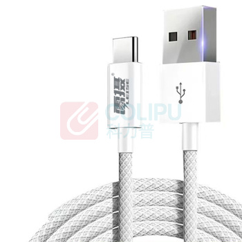 雷摄 LEISE 数据线 USB-Type-C LS-SJX2 1米 (白色)