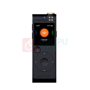 科大讯飞 iFLY TEK 录音笔 SR-201 32G+云储存 (星空灰)