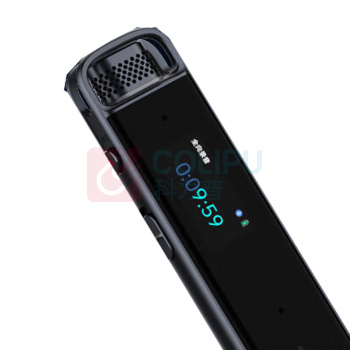 科大讯飞 iFLY TEK 录音笔 B2Y21M 32G 高清降噪 会议录音转文字 实时翻译
