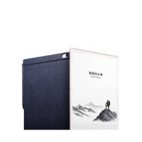 科大讯飞 iFLY TEK 智能办公本 X5 Pro 10.65英寸 (经典黑)