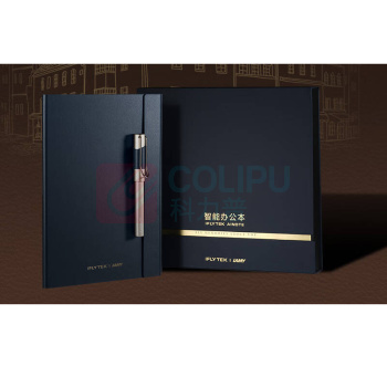 科大讯飞 iFLY TEK 电子笔记本 XF-DX-T310E X3Pro 10.65英寸