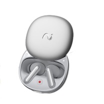 科大讯飞 iFLY TEK 会议耳机 iFLYBUDS Pro 2 (幻影银) 录音降噪 一键闪录 AI会议助理 同传翻译 主动降噪 苹果华为通用