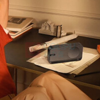 Bose 蓝牙扬声器 SoundLink Home (暖木)