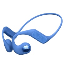 JBL 蓝牙耳机 Nearbuds2 (蓝色)