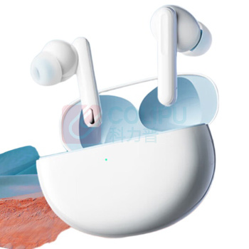 OPPO 入耳式 蓝牙 Enco Free2i 45.9g (白色)