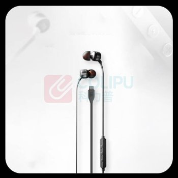 JBL 耳机 TUNE310C Type-C接口, 入耳式 (黑色) 适用于USBc设备