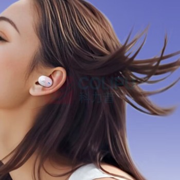 JBL 真无线蓝牙耳机 TUNE BUDS 2 (颜色随机)