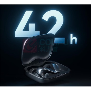 科大讯飞 iFLY TEK AI翻译耳机 AIH-2541 无线蓝牙 同声传译翻译 通话实时会议翻译 随身出国 面对面翻译 蓝牙降噪无线