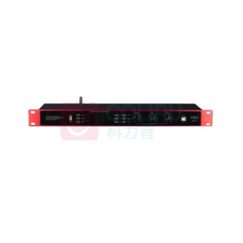 惠威 SWAN 数字音频处理器 DSP-9 效果器