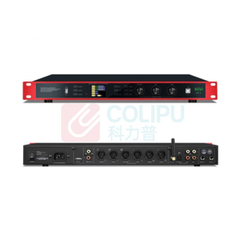 惠威 SWAN 数字音频处理器 DSP-9 效果器