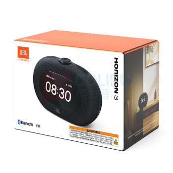 JBL 蓝牙音箱 HORIZON 3 (灰色)
