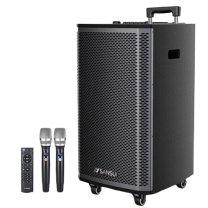 山水 sansui 户外K歌专用音响 L10 10英寸 三分频10吋+双美声话筒
