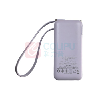 安克 ANKER 三合一能量棒 充电宝充电器 自带Type-C线 30W快充 A1637 10000毫安 (丁香紫)