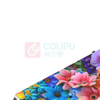 洛菲特 LED显示屏 LFT-P2.5KD1M 单模组320*160mm