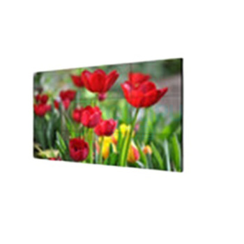 海康威视 HIKVISION 明系列拼接屏LCD显示单元 DS-D2A491LU 49英寸 1920×1080@60Hz 物理拼缝3.5mm