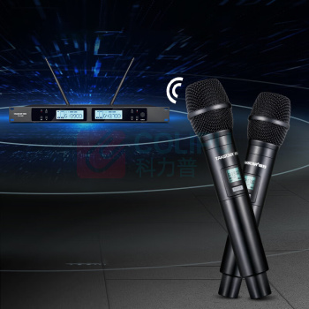 得胜 TAKSTAR 无线麦克风 TS-3380 一拖二 (黑色)