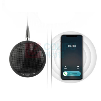 得胜 TAKSTAR 全向麦克风 BM-630USB