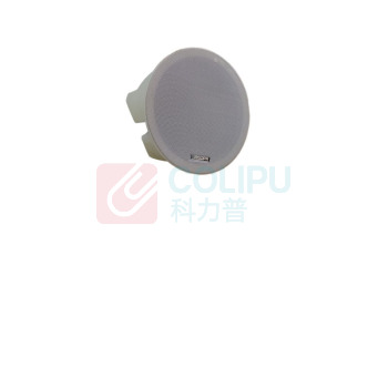 迪士普 网络化室内天花喇叭 POE5302