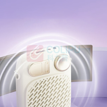 得胜 TAKSTAR 小蜜蜂扩音器 S10 便携式