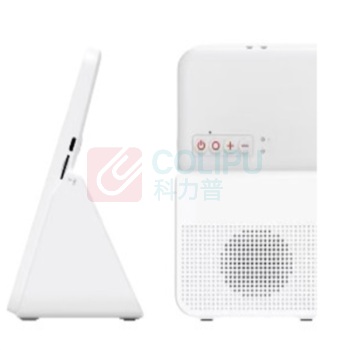 联迪 LANDI 云音箱 NS20 Pro 4G (白色)