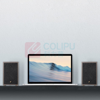 惠威 SWAN 音箱 Oasis 绿洲 无源HiFi