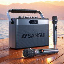 山水 sansui 便携式音响 G205 含包 31.6*11.3*22.8cm 无线蓝牙双声道