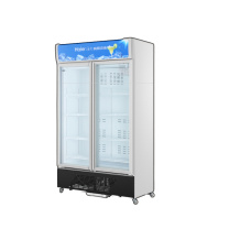 海尔 Haier 一级能效 定频风冷侧开门立式展示柜冷柜 SC-650HS 650升