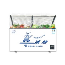 冰熊 大容量冷柜家用冷藏冷冻单双温展示柜保鲜柜速冻柜 BC/BD-798 