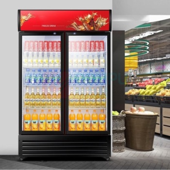 扬子(YANGZI) 展示柜冷藏大容量饮料柜冰柜 双门800L标准款【直冷】 