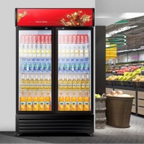 扬子(YANGZI) 展示柜冷藏大容量饮料柜冰柜 双门800L标准款【直冷】 
