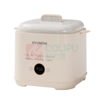 HYUNDAI 液体加热器煮蛋器 NE-250A 250W