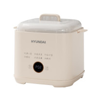 HYUNDAI 液体加热器煮蛋器 NE-250A 250W