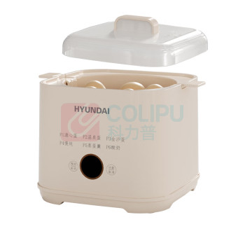 HYUNDAI 液体加热器煮蛋器 NE-250A 250W