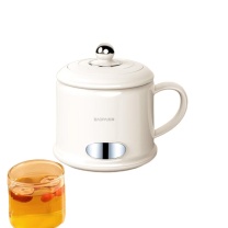 豹牌 BAOPAI 多功能养生杯 BP-9832 500ml