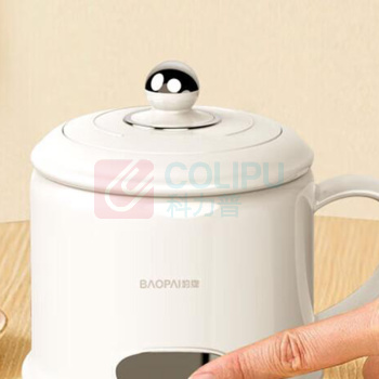 豹牌 BAOPAI 多功能养生杯 BP-9832 500ml
