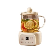 HYUNDAI 花茶壶 BG-YSB201 500毫升/0.5L