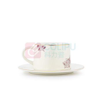 COSTA 咖啡杯 KFB001 220ml*2