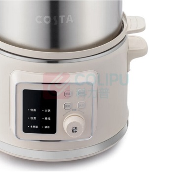 COSTA 多功能炖蒸煮锅 CT-11L01 2L
