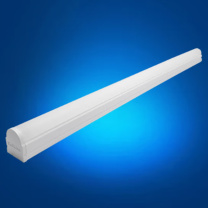 飞利浦 PHILIPS LED灯管 T8-16W(白光) 1.2米6500K  单端进电【标准版】