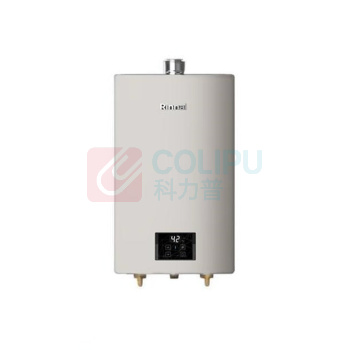 林内 Rinnai 燃气热水器 JSQ31-GD32 16L