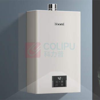 林内 Rinnai 燃气热水器 JSQ31-GD32 16L