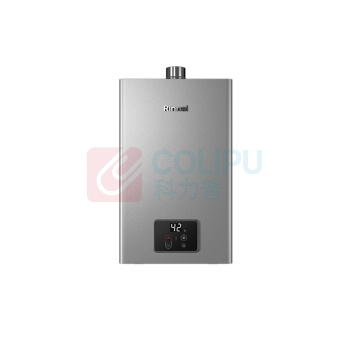 林内 Rinnai 燃气热水器超能恒温芯 JSQ31-GD33 16升 (极光灰)