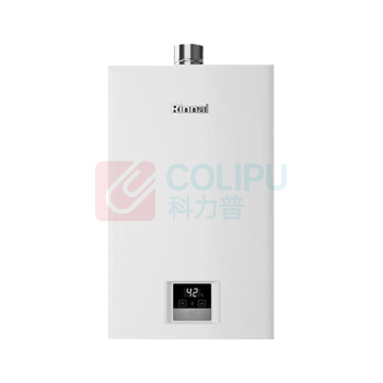 林内 Rinnai 燃气热水器恒温 JSQ31-GT11 16L 天然气