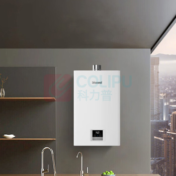 林内 Rinnai 燃气热水器恒温 JSQ31-GT11 16L 天然气